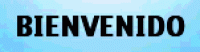 Bienv 1