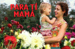 Mamá